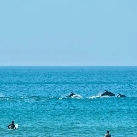 Дом отдыха Vale Da Praia Beach House